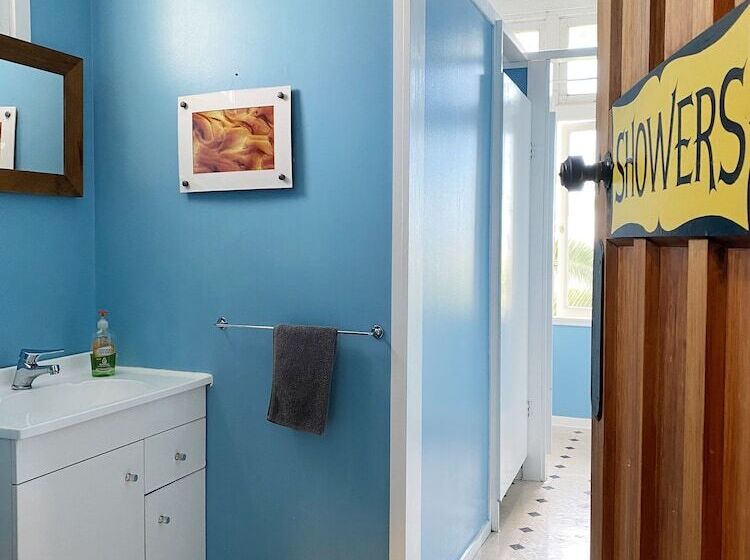 הוסטל Noah's Ark Backpackers