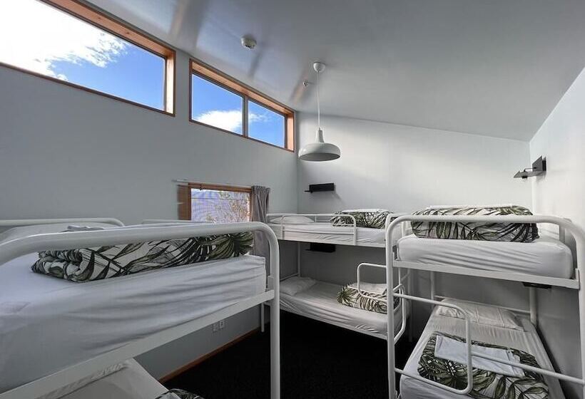 هاستل On Top Backpackers