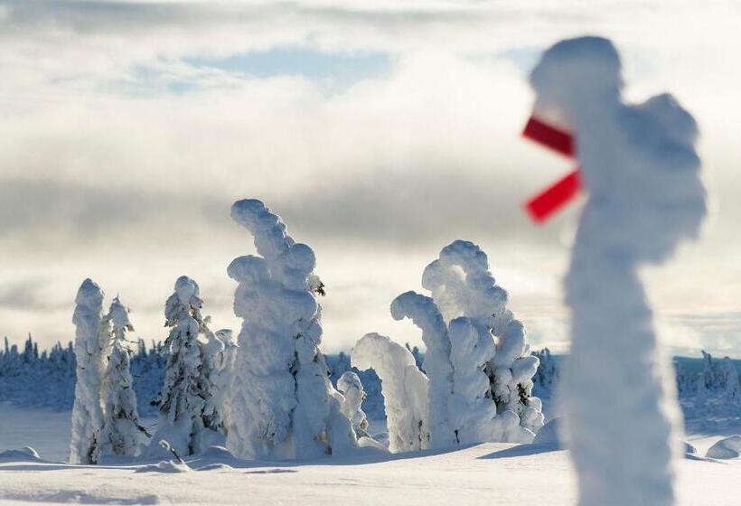 فندق صغير Saxnäsgården Hotell & Konferens