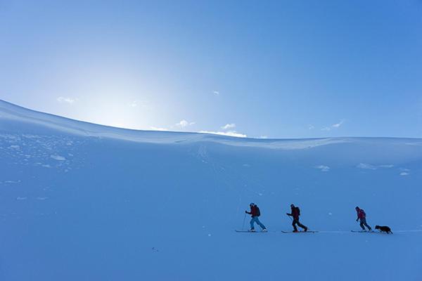 فندق صغير Saxnäsgården Hotell & Konferens