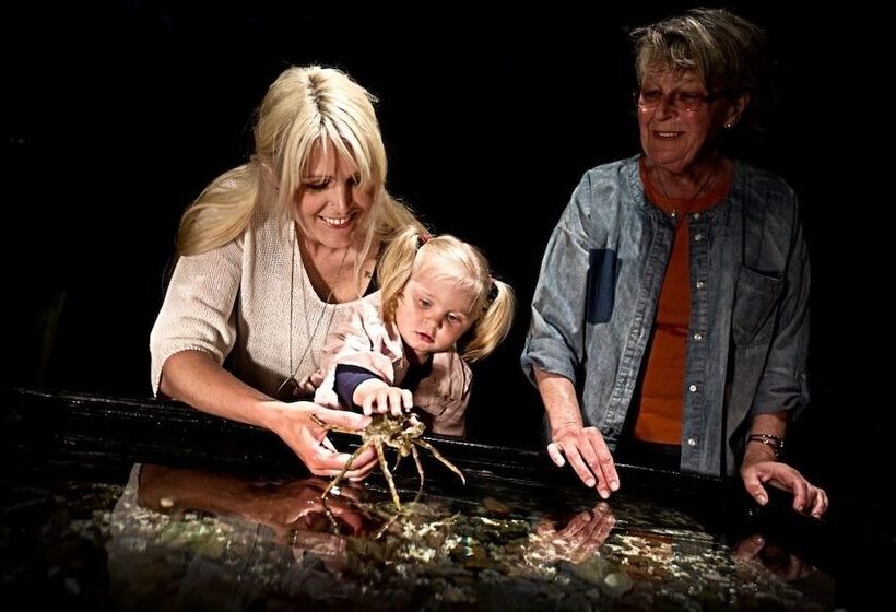 ユースホステル Strandvillan Hotell Och Bed & Breakfast