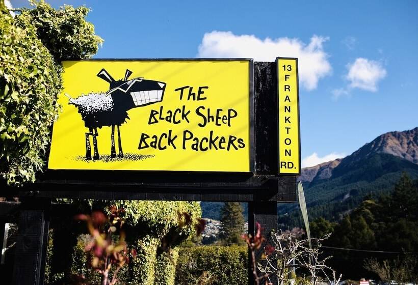 הוסטל The Black Sheep Backpackers