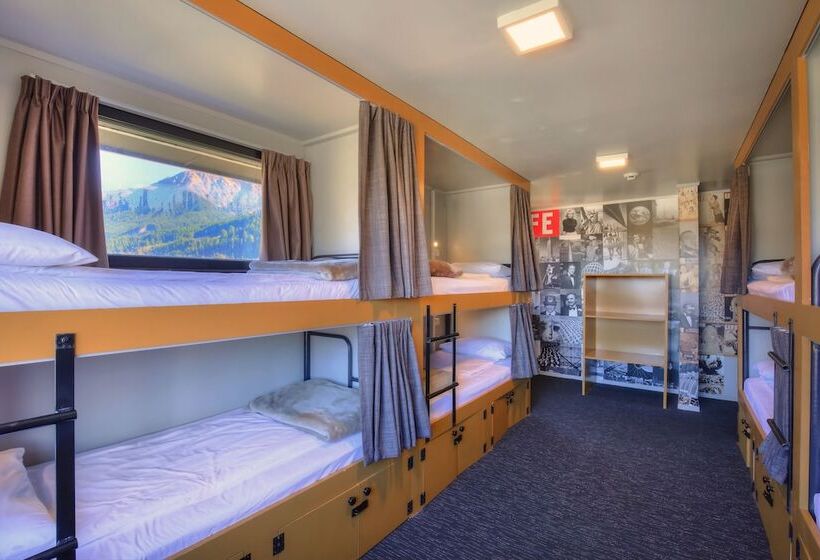 הוסטל The Black Sheep Backpackers