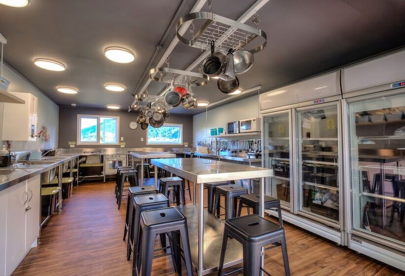 הוסטל The Black Sheep Backpackers