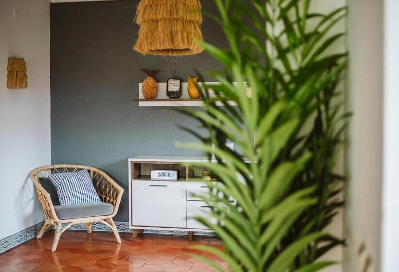 הוסטל The Salty Pelican Beach Retreat