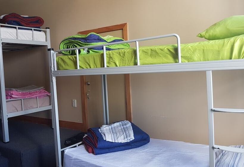 호스텔 Wild Zebra Backpackers