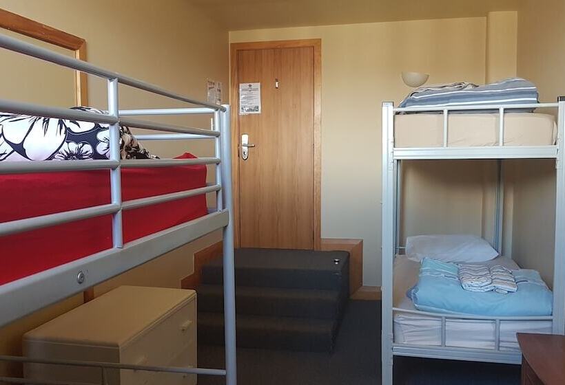 ユースホステル Wild Zebra Backpackers