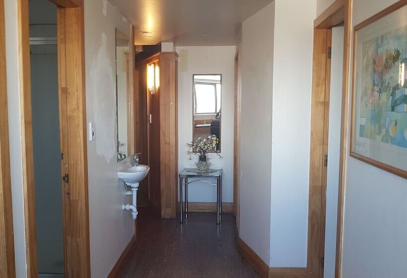 旅馆 Wild Zebra Backpackers