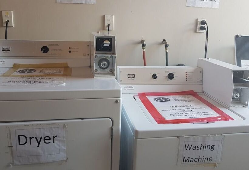 호스텔 Wild Zebra Backpackers