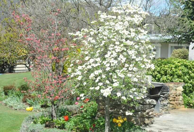 Alexandra Garden Court Motel