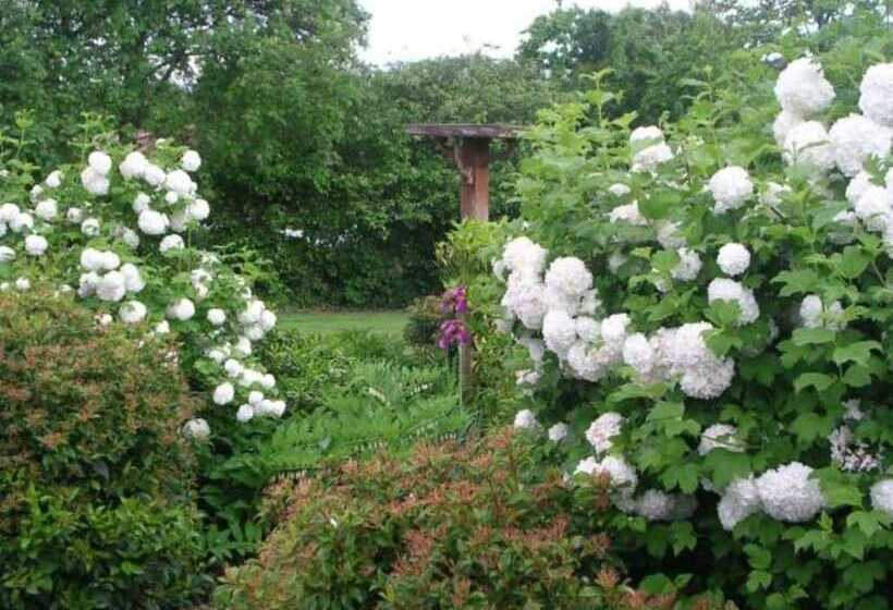 Alexandra Garden Court Motel