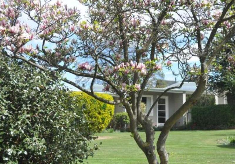 Alexandra Garden Court Motel