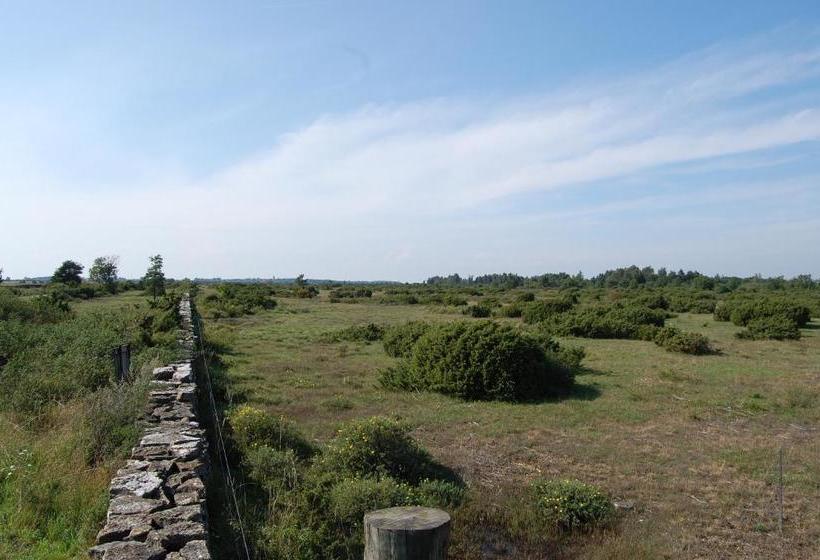 Allégården Kastlösa Hotell