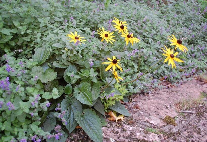 Allégården Kastlösa Hotell