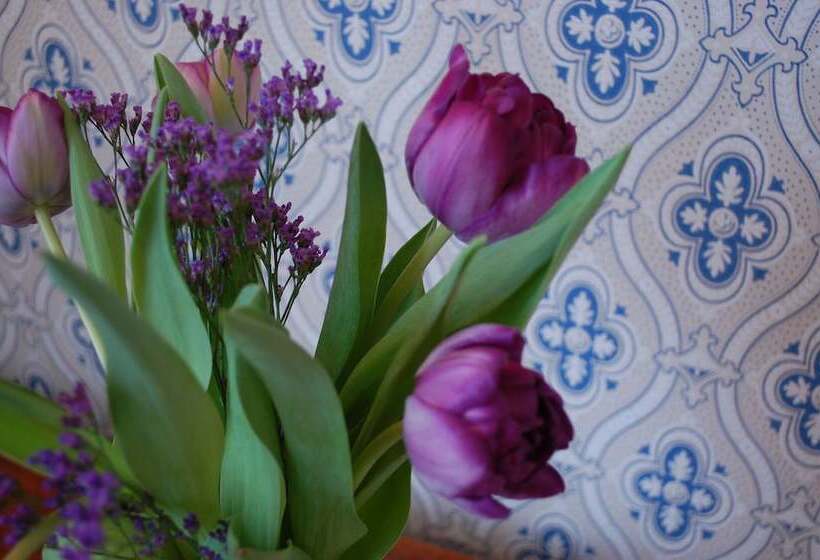 Allégården Kastlösa Hotell