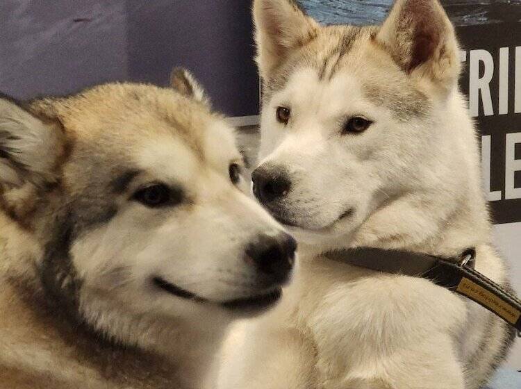 Ashburton's Regency Motel