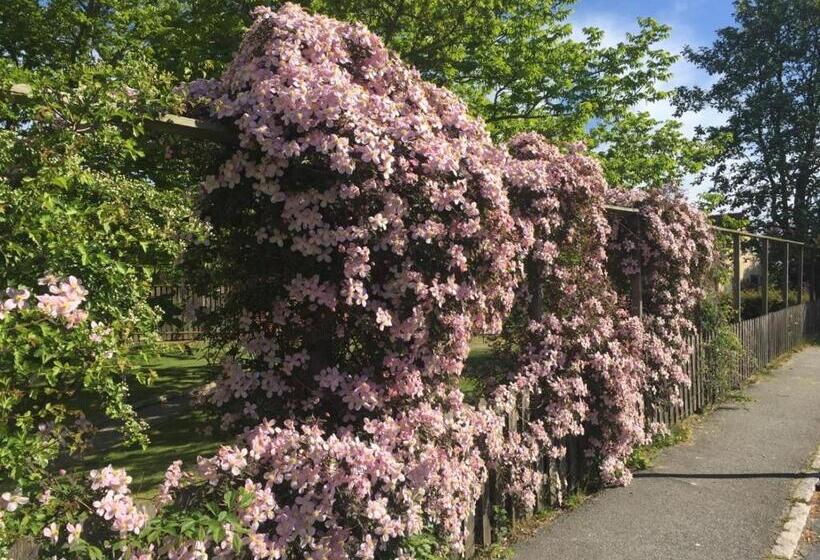 Aurora Bed & Breakfast