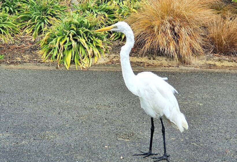 Bay Vista Waterfront Motel