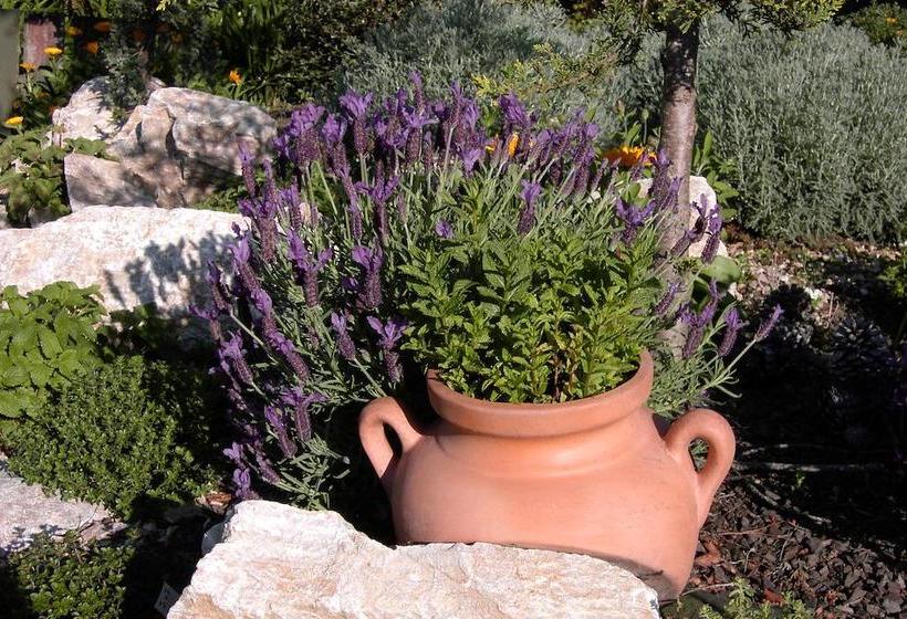 Beachside Villas Motel