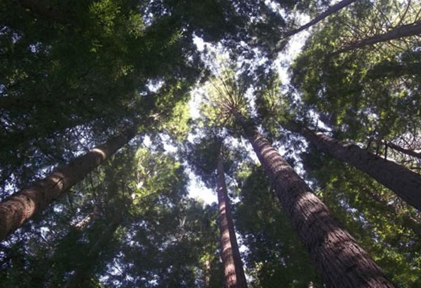 צימר A Panoramic Country Homestay