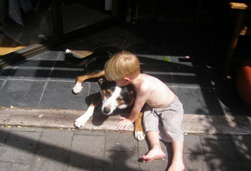 צימר A Panoramic Country Homestay