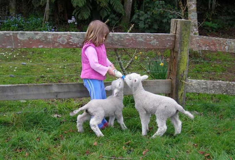 צימר A Panoramic Country Homestay