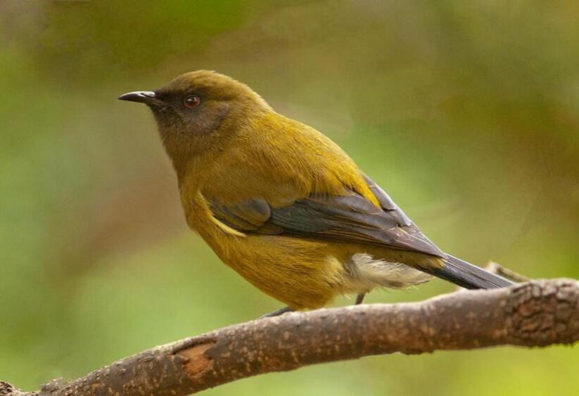 ベッドアンドブレックファースト Blythcliffe