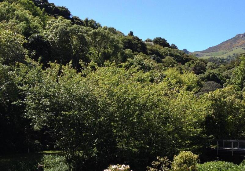 ベッドアンドブレックファースト Blythcliffe