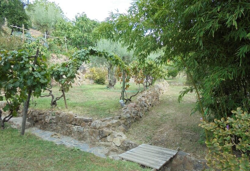 צימר Casa Covão Da Abitureira