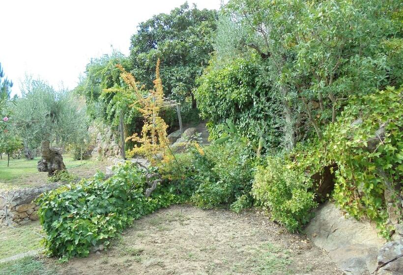 צימר Casa Covão Da Abitureira