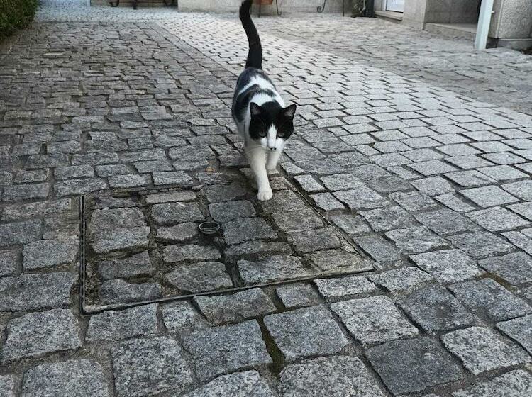 민박 Casa De Sao Domingos