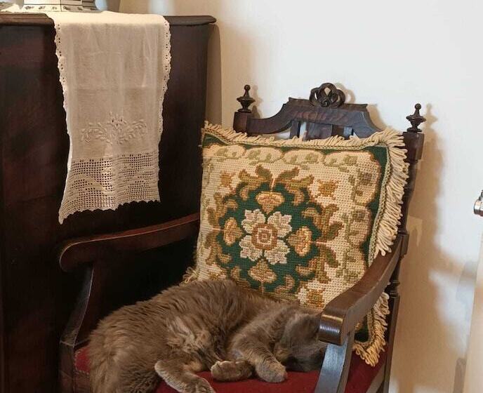 민박 Casa De Sao Domingos