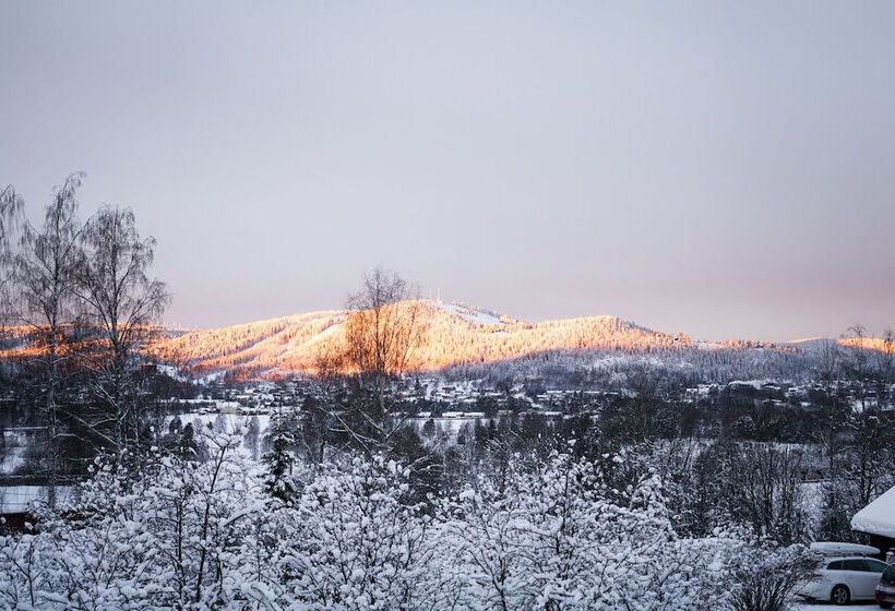 민박 Helsingegården