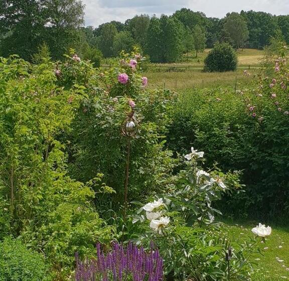 ベッドアンドブレックファースト Höhällets Lantliga Rum