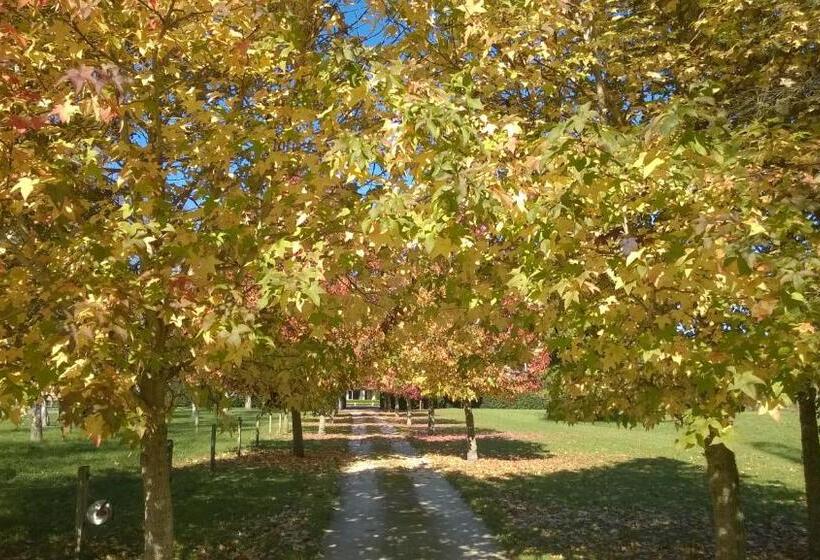 مبيت وإفطار Korbaylen Estate