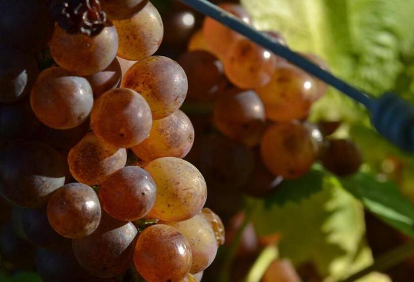 צימר Pine Hill Lodge