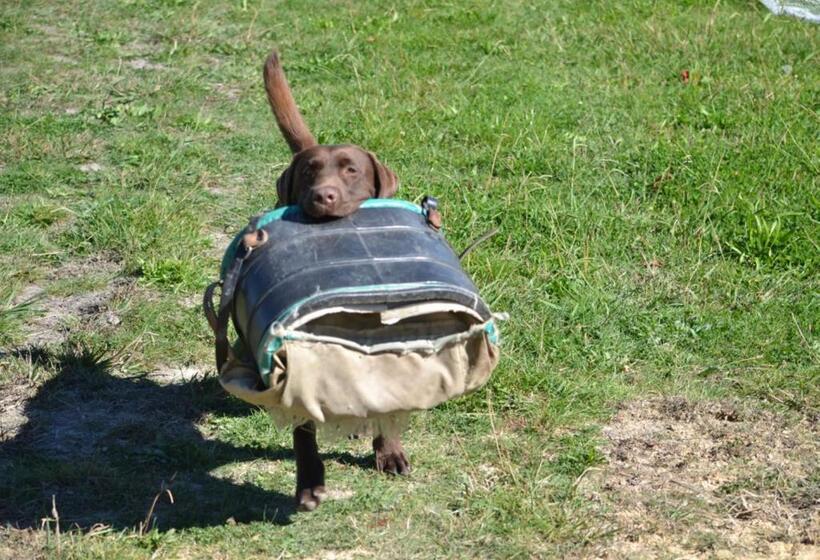 צימר Pine Hill Lodge