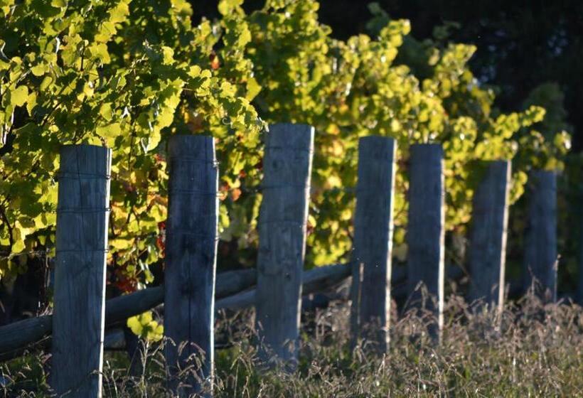 צימר Pine Hill Lodge