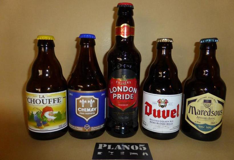 مبيت وإفطار Plano5 Robust Design