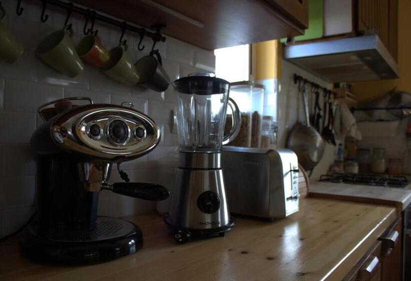 住宿加早餐 Puravida Divehouse