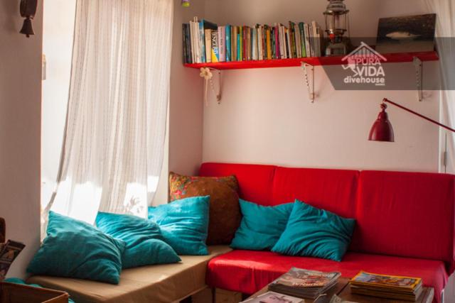 住宿加早餐 Puravida Divehouse