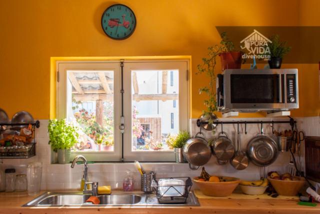 住宿加早餐 Puravida Divehouse