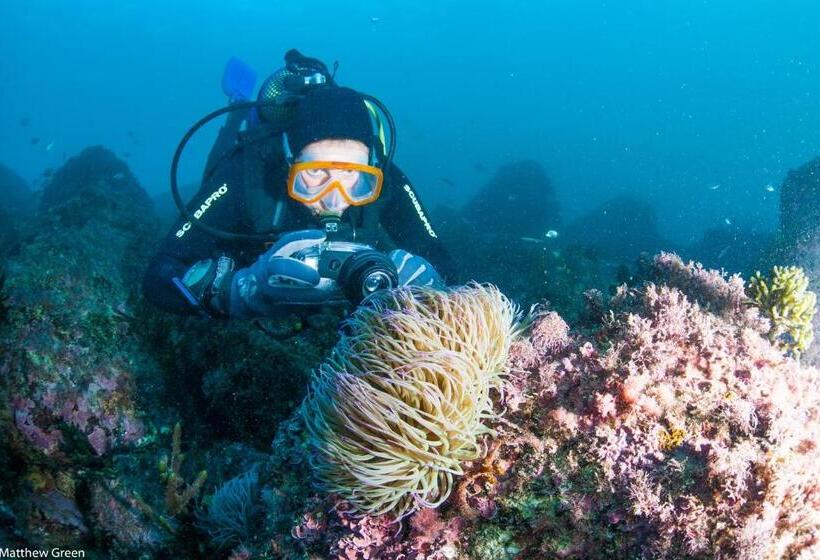 住宿加早餐 Puravida Divehouse