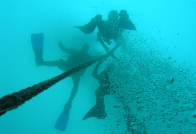 住宿加早餐 Puravida Divehouse