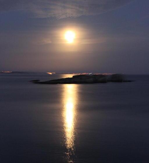 住宿加早餐 Puravida Divehouse