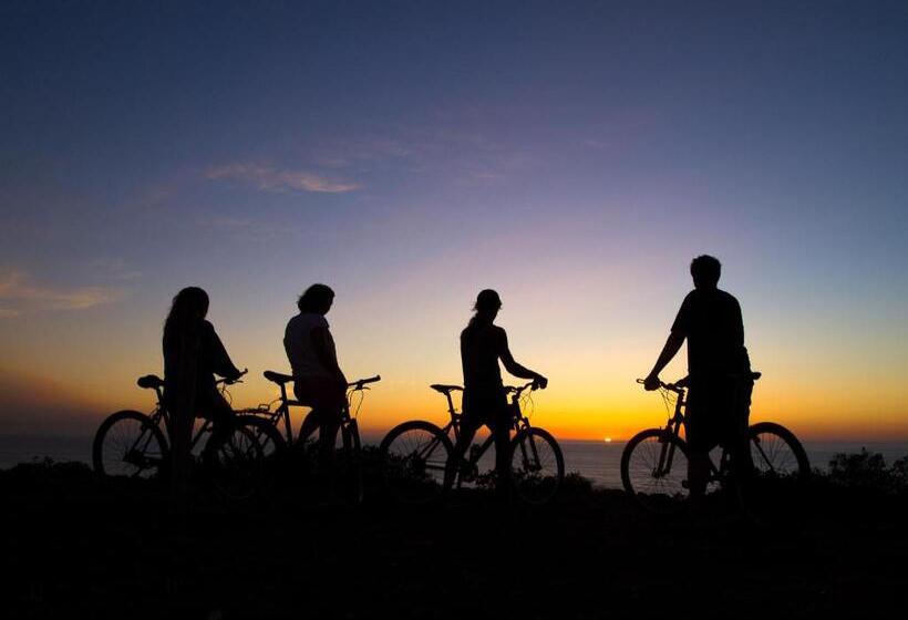 住宿加早餐 Puravida Divehouse