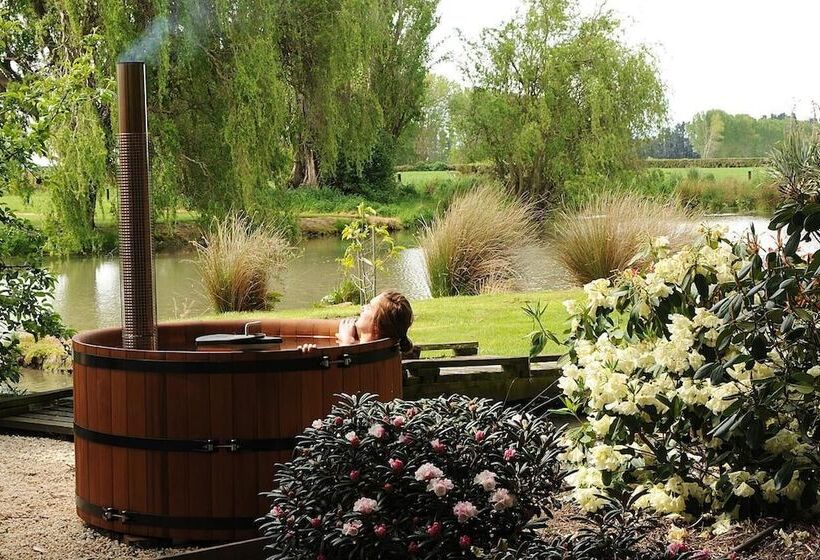 تختخواب و صبحانه Revive On Oakview Boutique Accommodation And Spa