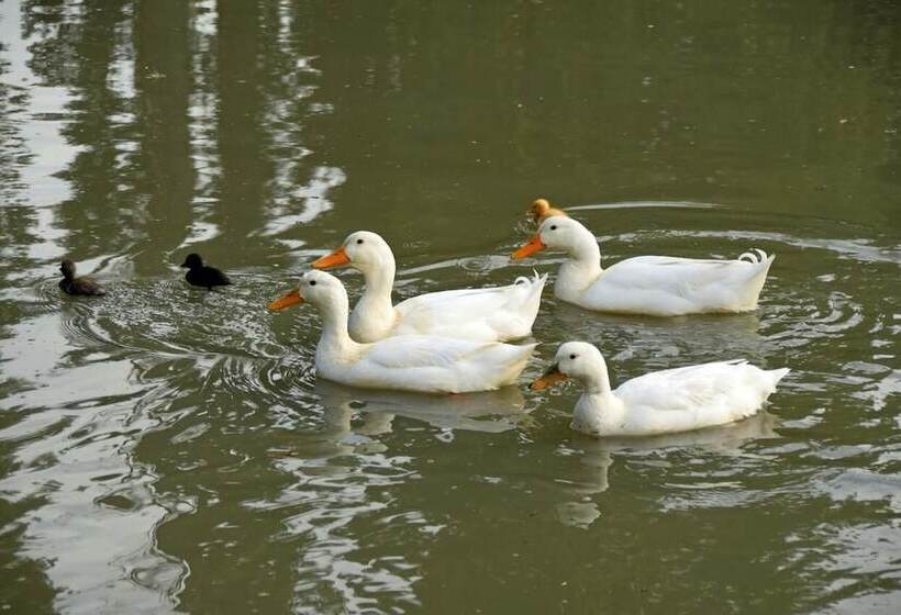 צימר Revive On Oakview Boutique Accommodation And Spa