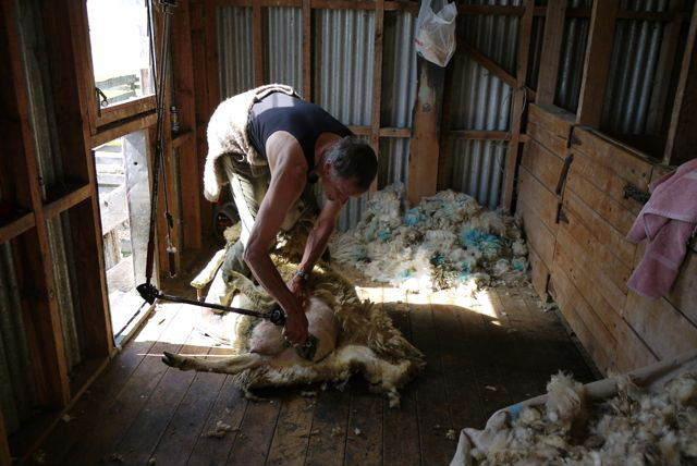 צימר Silver Peaks Lodge