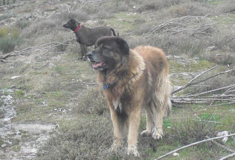 ベッドアンドブレックファースト Terra Mista Alojamento Local